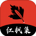 HDP直播TV官方版下载安装APP应用