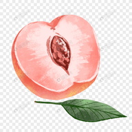 WWW,mitaoav·COM网站APPAPP应用