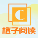 麻豆网站APP应用