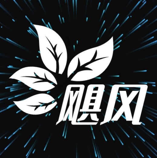 斑马视频下载APP应用