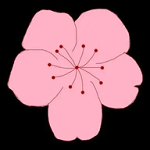 91网站免费版APP应用