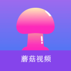 91破解版